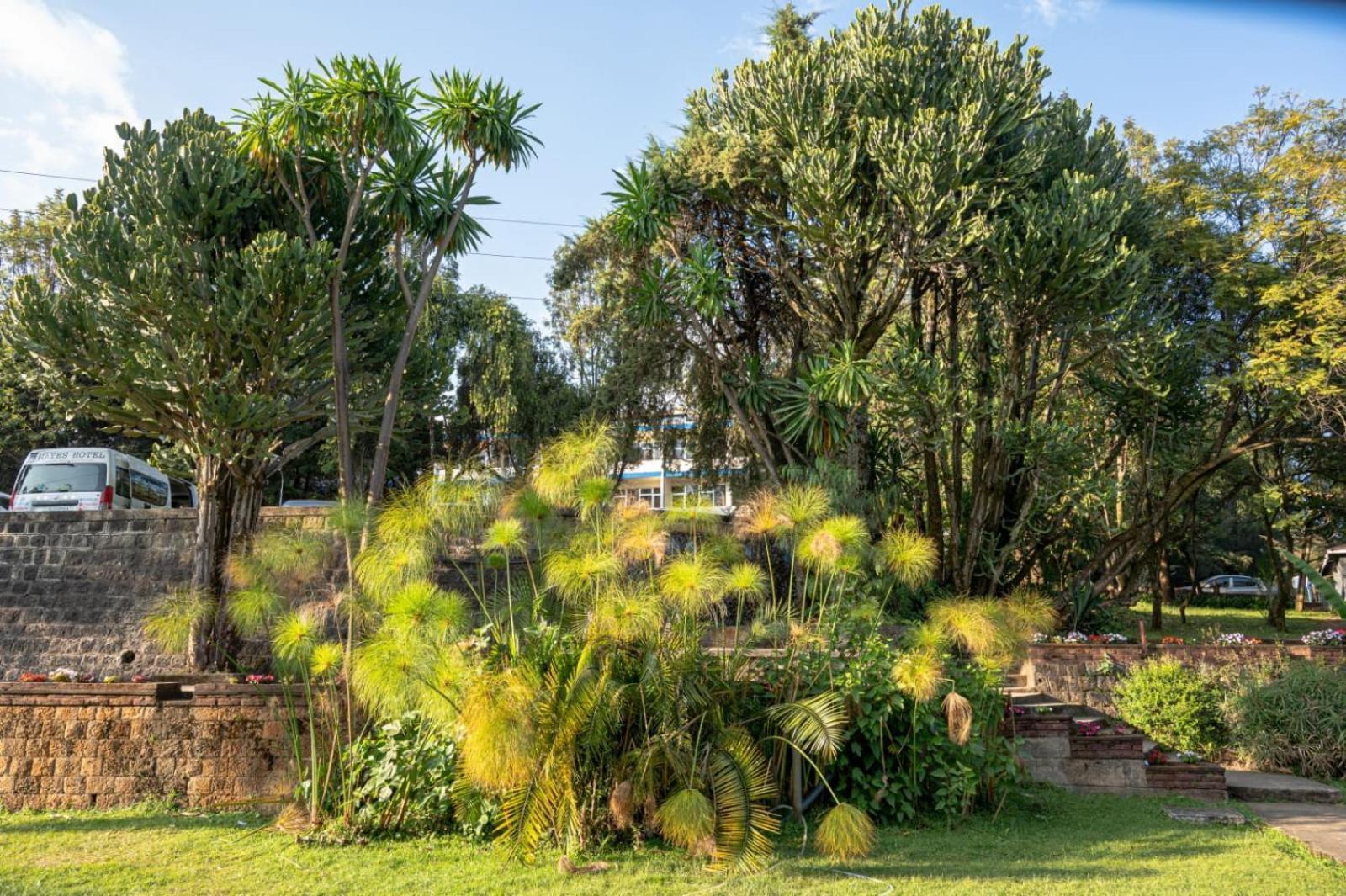 Ghion Hotel Addisz-Abeba Kültér fotó