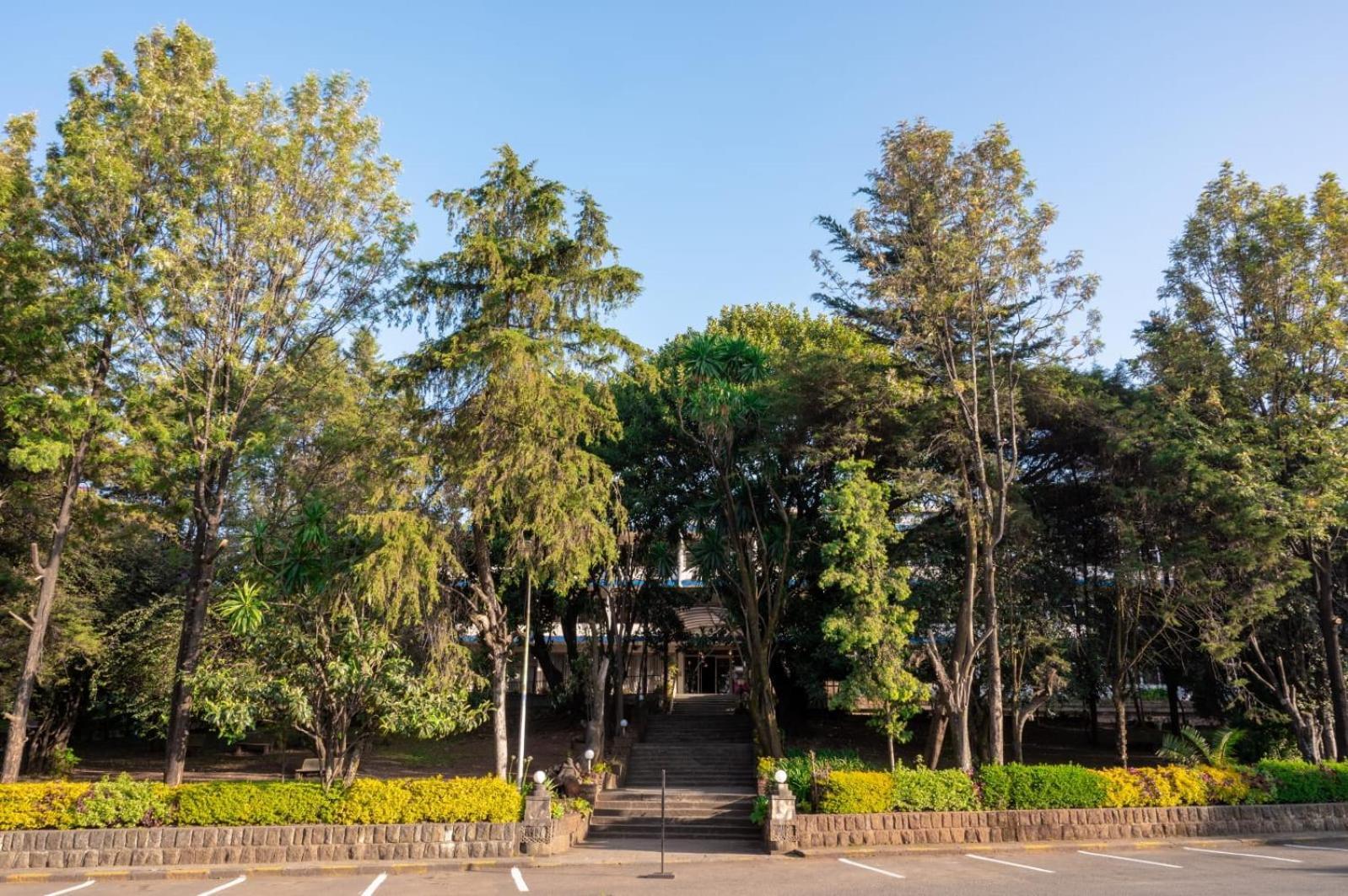 Ghion Hotel Addisz-Abeba Kültér fotó